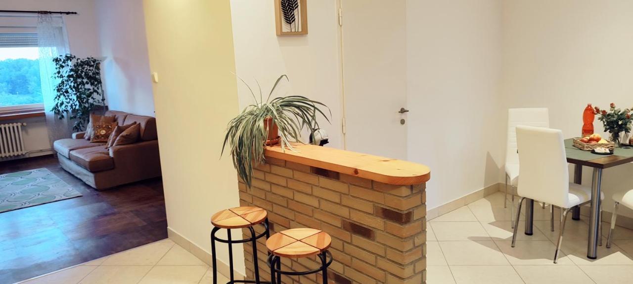 Danube Riverside Apartment With Quite Workplace Pressburg Exterior foto